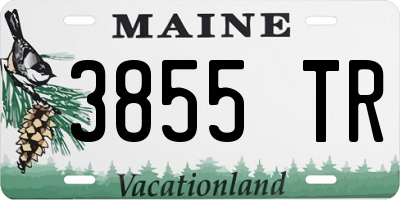 ME license plate 3855TR