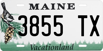 ME license plate 3855TX