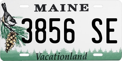 ME license plate 3856SE