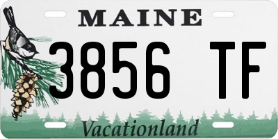 ME license plate 3856TF