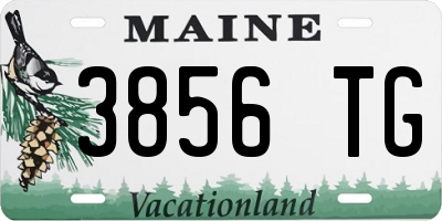 ME license plate 3856TG