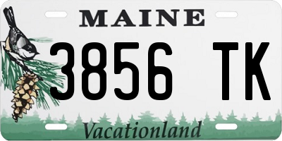 ME license plate 3856TK