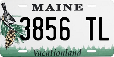 ME license plate 3856TL