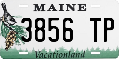 ME license plate 3856TP