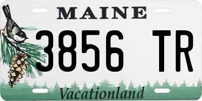 ME license plate 3856TR