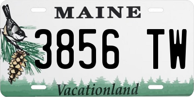 ME license plate 3856TW