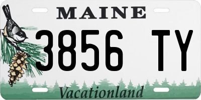 ME license plate 3856TY