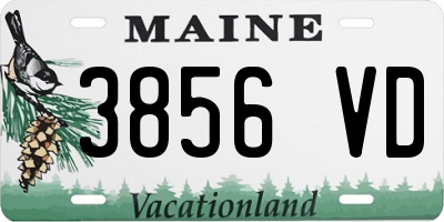 ME license plate 3856VD