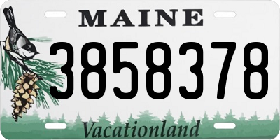 ME license plate 3858378