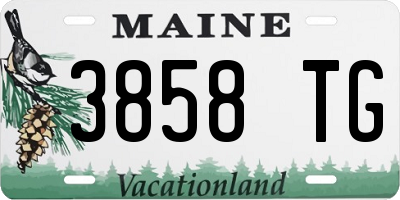 ME license plate 3858TG