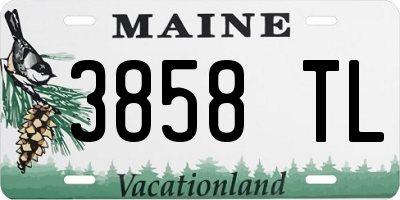 ME license plate 3858TL