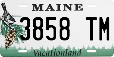ME license plate 3858TM