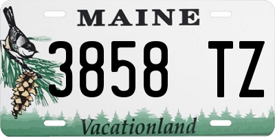 ME license plate 3858TZ