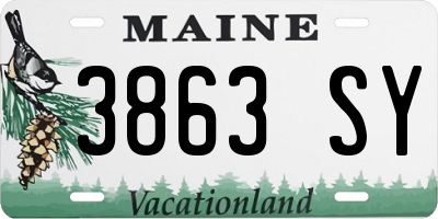 ME license plate 3863SY