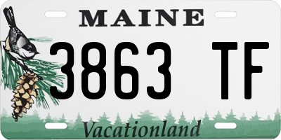 ME license plate 3863TF