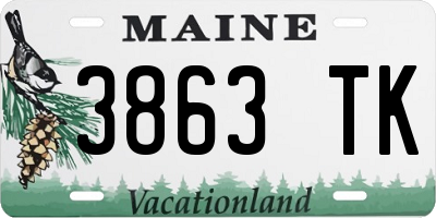 ME license plate 3863TK