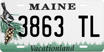 ME license plate 3863TL