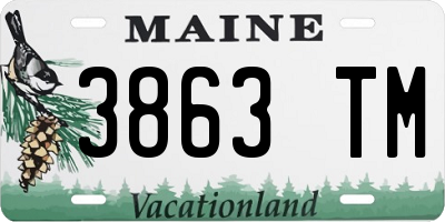 ME license plate 3863TM