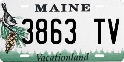 ME license plate 3863TV