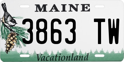 ME license plate 3863TW