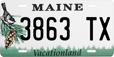 ME license plate 3863TX