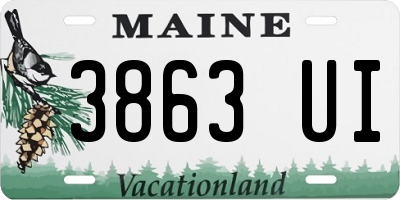 ME license plate 3863UI