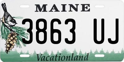 ME license plate 3863UJ