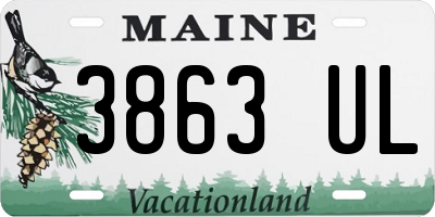 ME license plate 3863UL