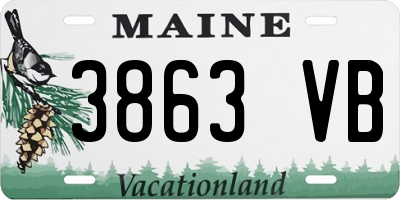 ME license plate 3863VB