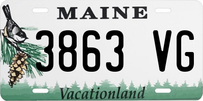 ME license plate 3863VG