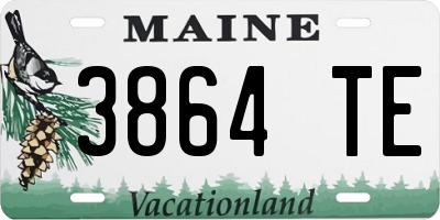 ME license plate 3864TE