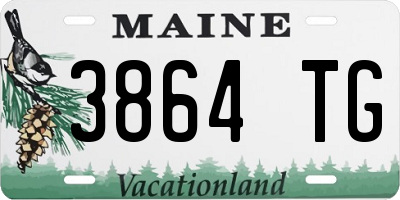ME license plate 3864TG