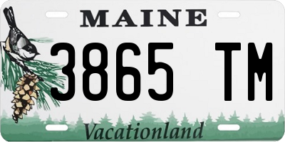 ME license plate 3865TM