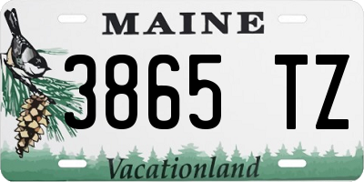 ME license plate 3865TZ