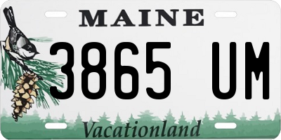 ME license plate 3865UM