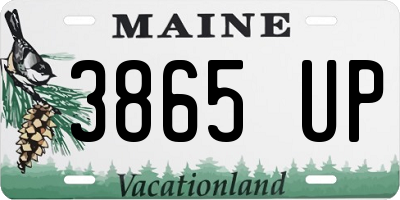 ME license plate 3865UP