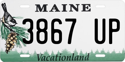 ME license plate 3867UP