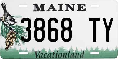 ME license plate 3868TY