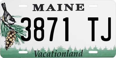 ME license plate 3871TJ