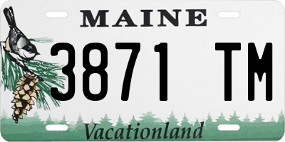 ME license plate 3871TM