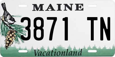 ME license plate 3871TN