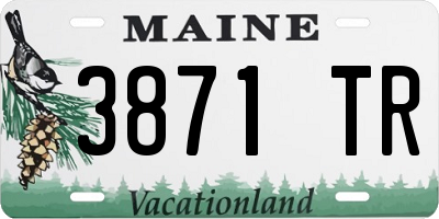 ME license plate 3871TR