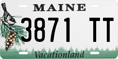 ME license plate 3871TT