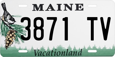 ME license plate 3871TV