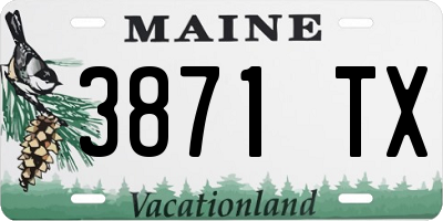 ME license plate 3871TX