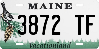 ME license plate 3872TF