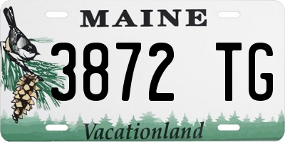 ME license plate 3872TG