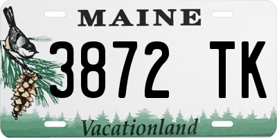 ME license plate 3872TK