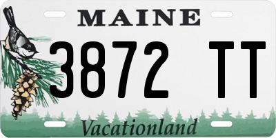 ME license plate 3872TT