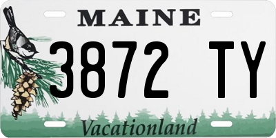 ME license plate 3872TY